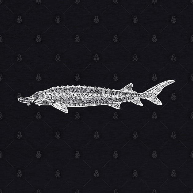 European Sea Sturgeon handmade fish drawing on black by Green Paladin